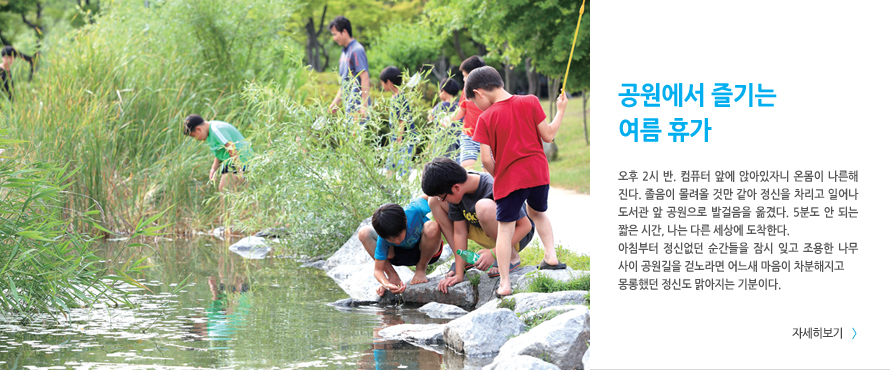 공원에서 즐기는 여름 휴가